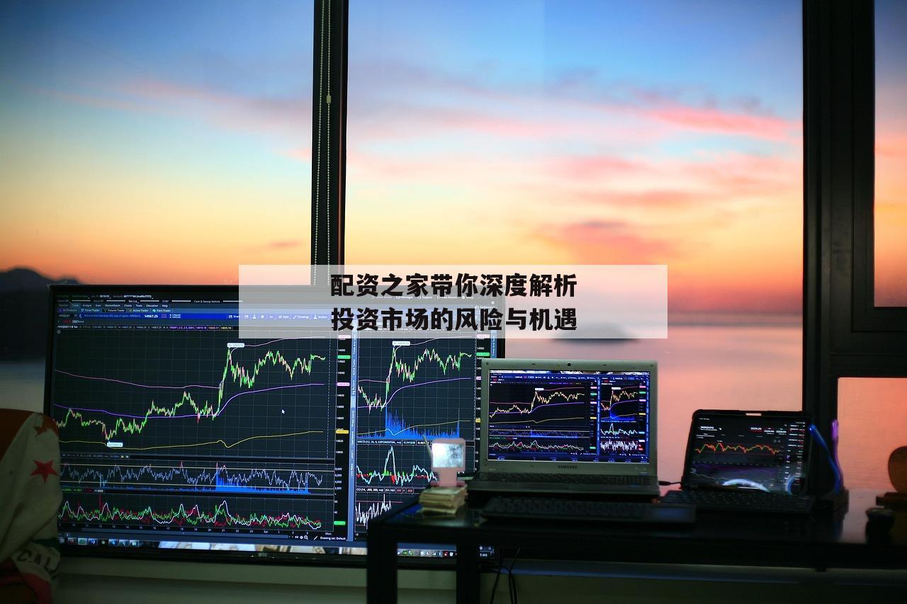 配资之家带你深度解析投资市场的风险与机遇