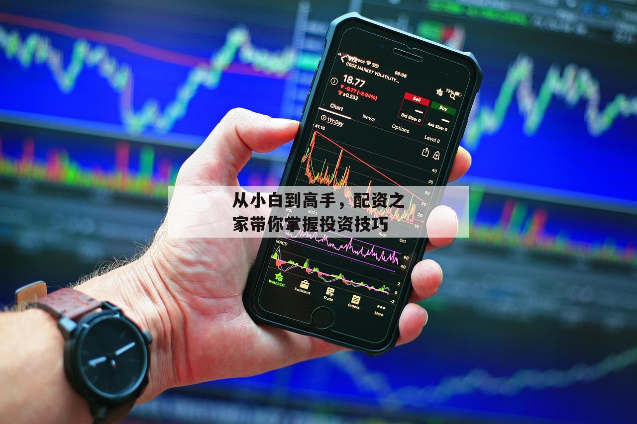 从小白到高手，配资之家带你掌握投资技巧